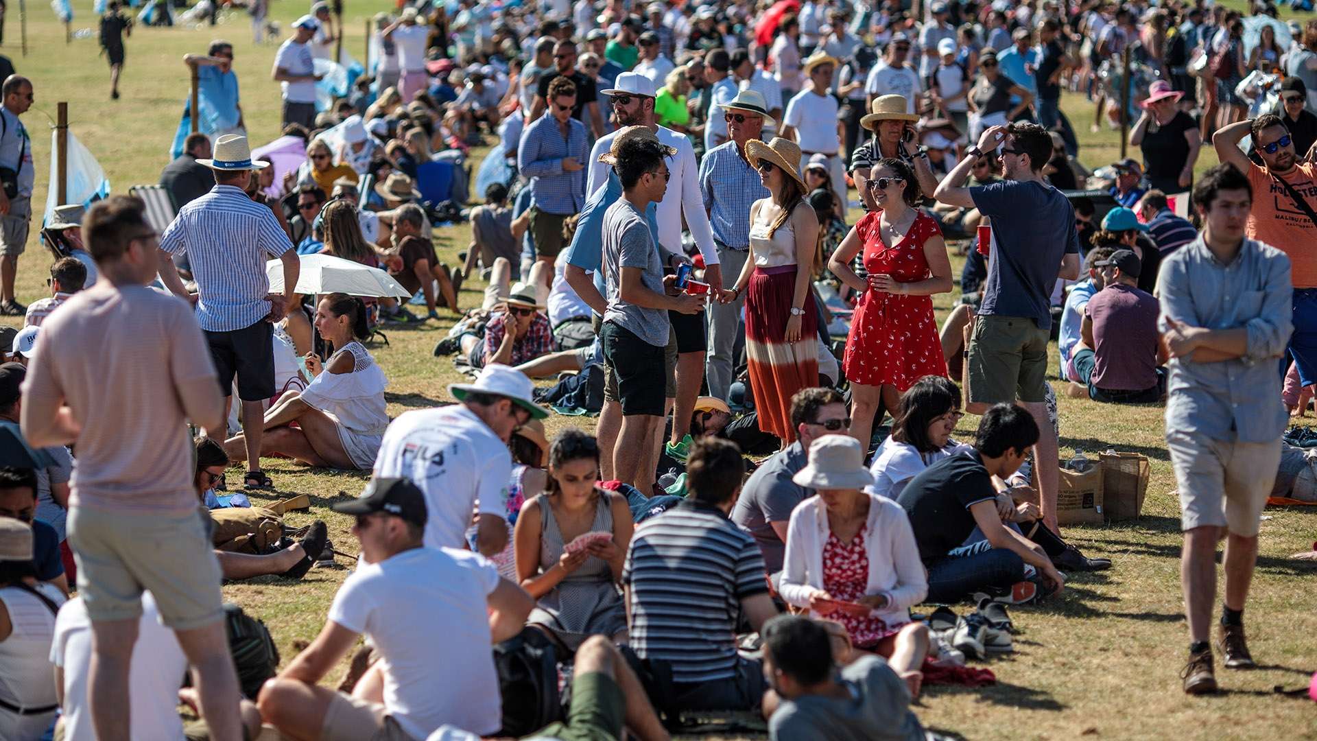 场上的热门 场上的热门