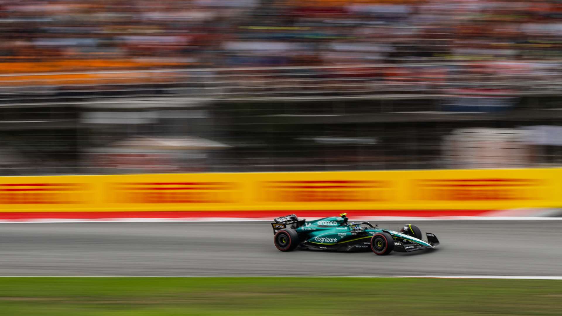 后表示了不 后表示了不